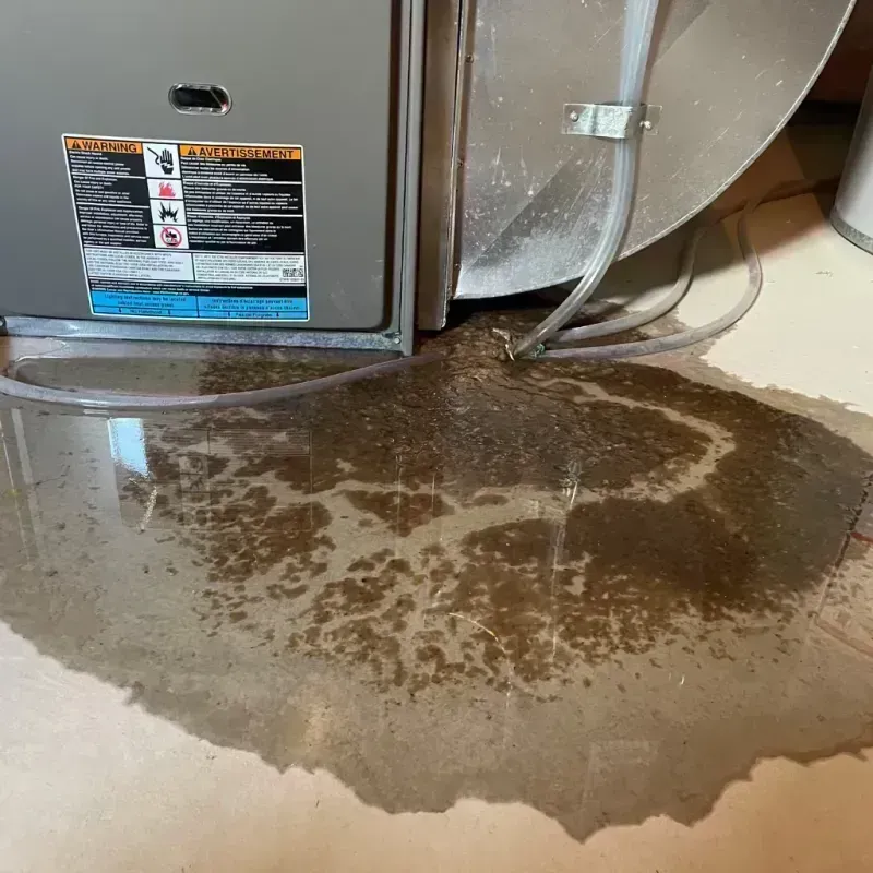 Appliance Leak Cleanup in Saint Robert, MO